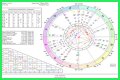 Astrology Birth Chart of Wesley Willis (Punk Singer) 2024