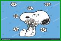 Be snoopy