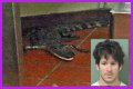 Florida Man Throws Crocodile In Drive Thru