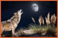 Howl at the moon