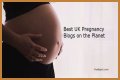 Pregnancy Blogs – Top Pregnancy Blogs and Websites