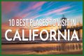 Top 16 Most Amazing Locations To Visit In San Diego, California: Best Places To Explore - SarkariResult